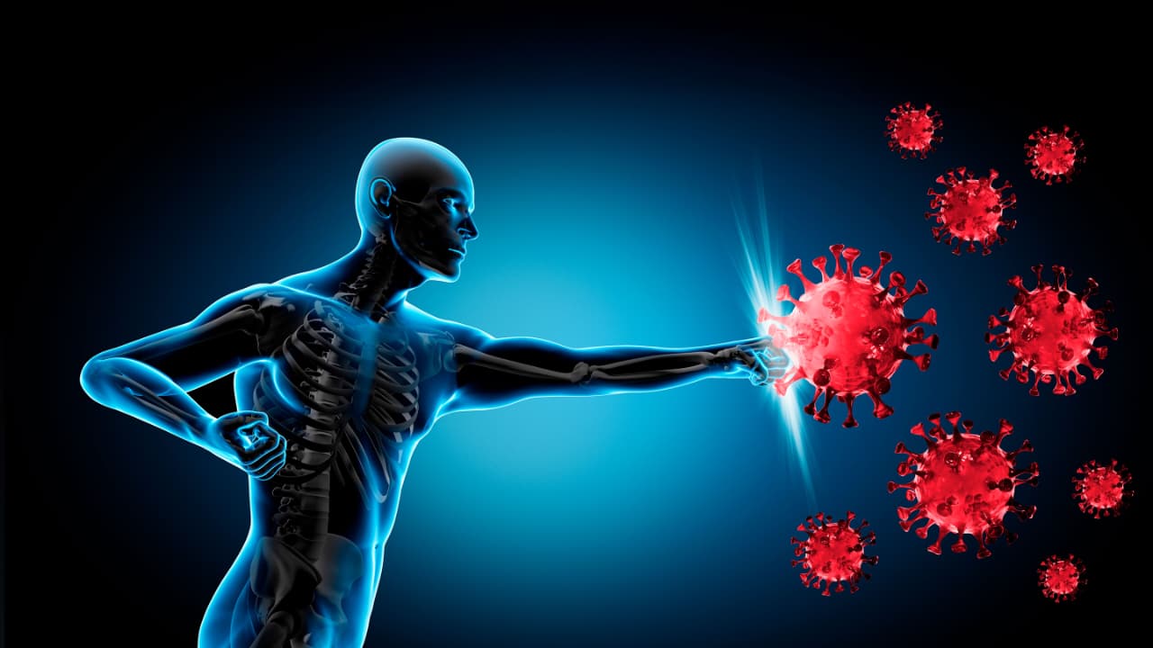 The Immune System: The Silent Army That Protects You Every Second