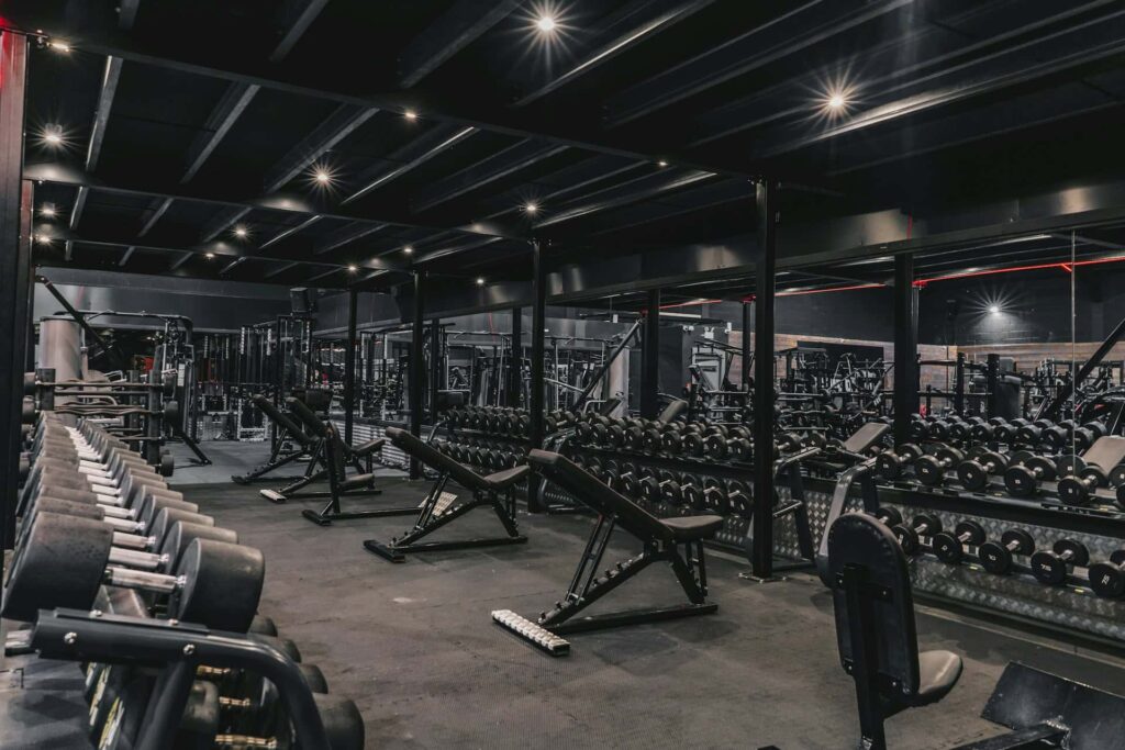 The Commercial Gym: Equipment, Motivation, and Professional Environment​