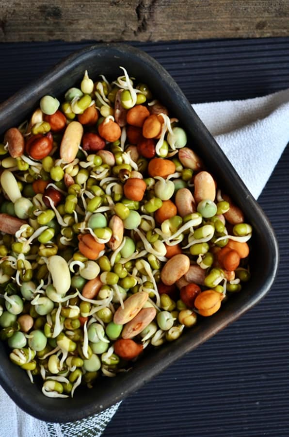 nut and seed